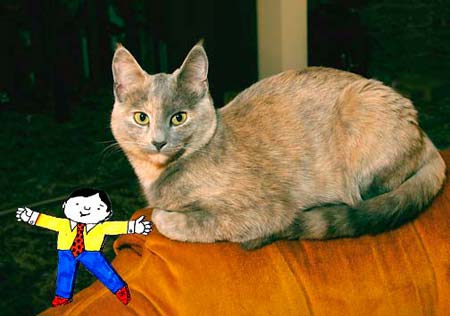 Flat Stanley meets Miss Kitty
